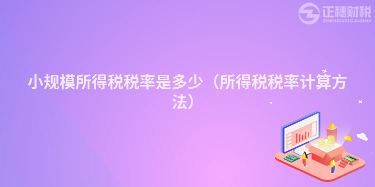 小规模所得税税率是多少（所得税税率计算方法）