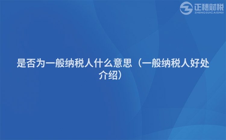 是否为一般纳税人什么意思（一般纳税人好处介绍）