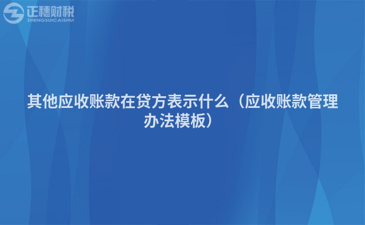 其他应收账款在贷方表示什么（应收账款管理办法模板）