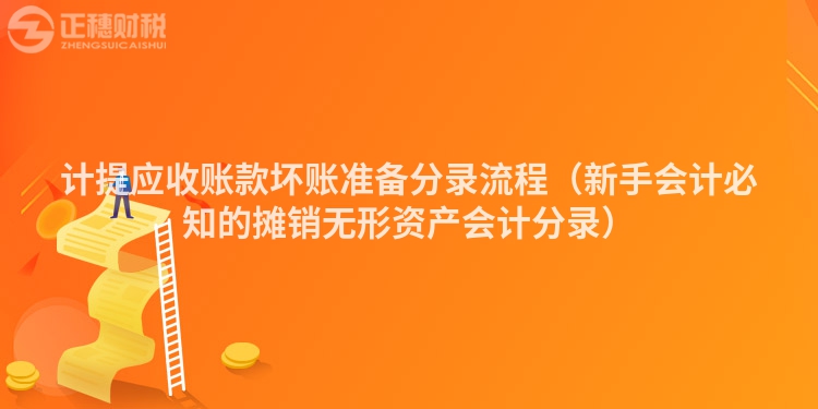 计提应收账款坏账准备分录流程（新手会计必知的摊销无形资产会计分录）