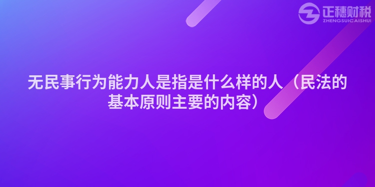 无民事行为能力人是指是什么样的人（民法的基本原则主要的内容）