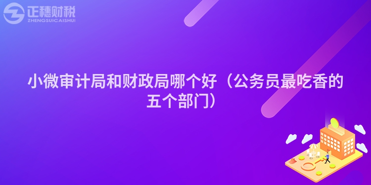 小微审计局和财政局哪个好（公务员最吃香的五个部门）