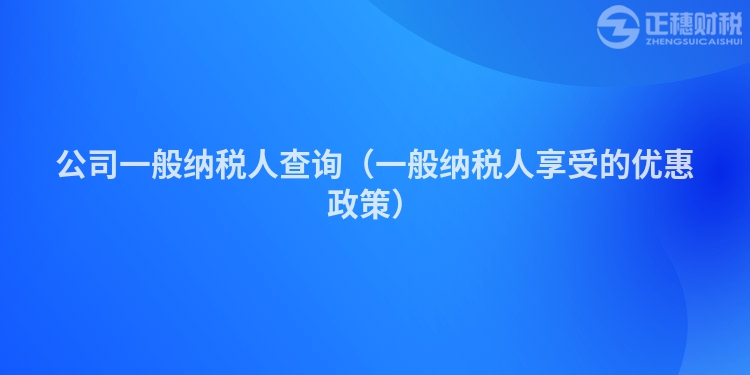 公司一般纳税人查询（一般纳税人享受的优惠政策）